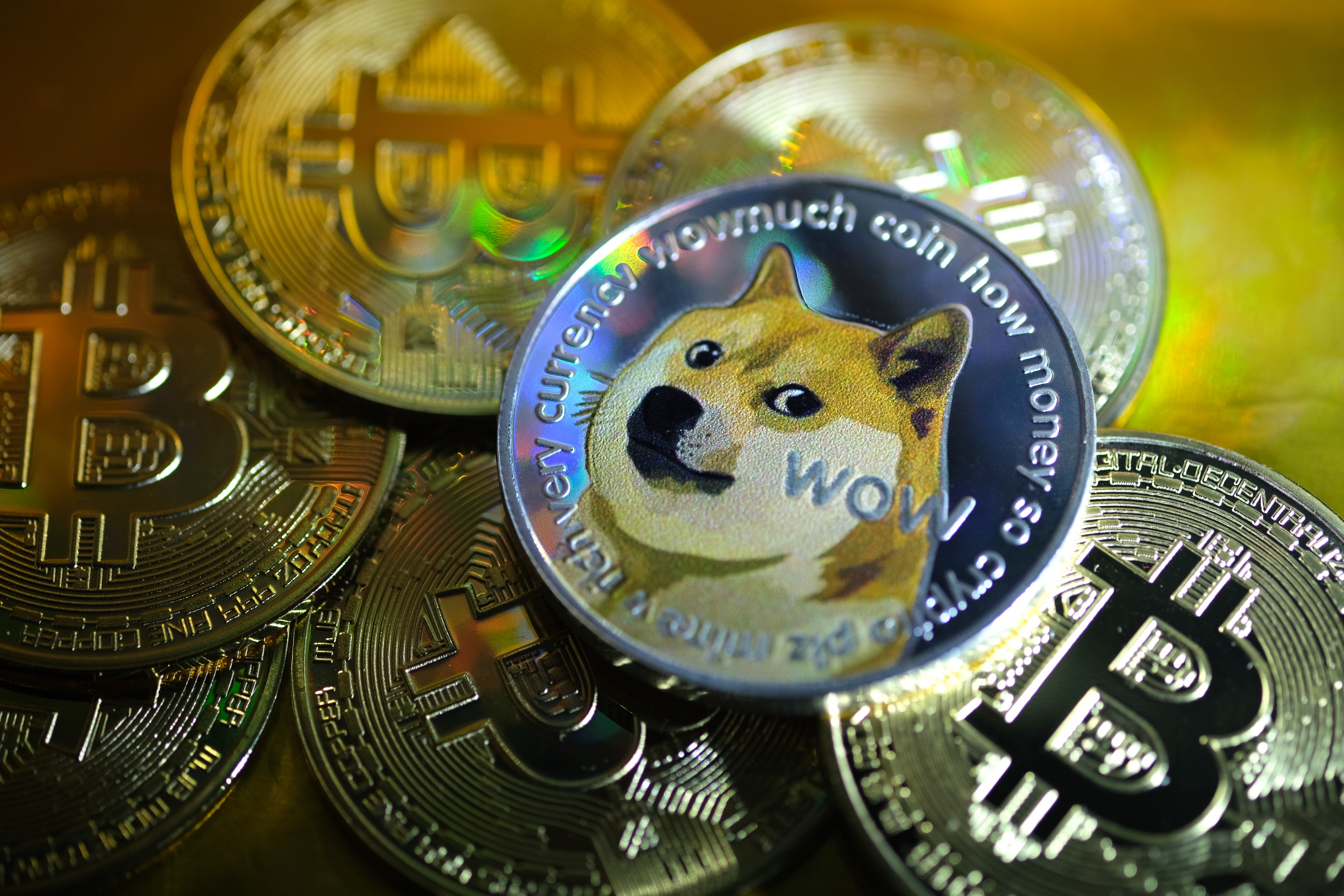 Why Dogecoin Is No Longer a Joke Cryptocurrency | Marker